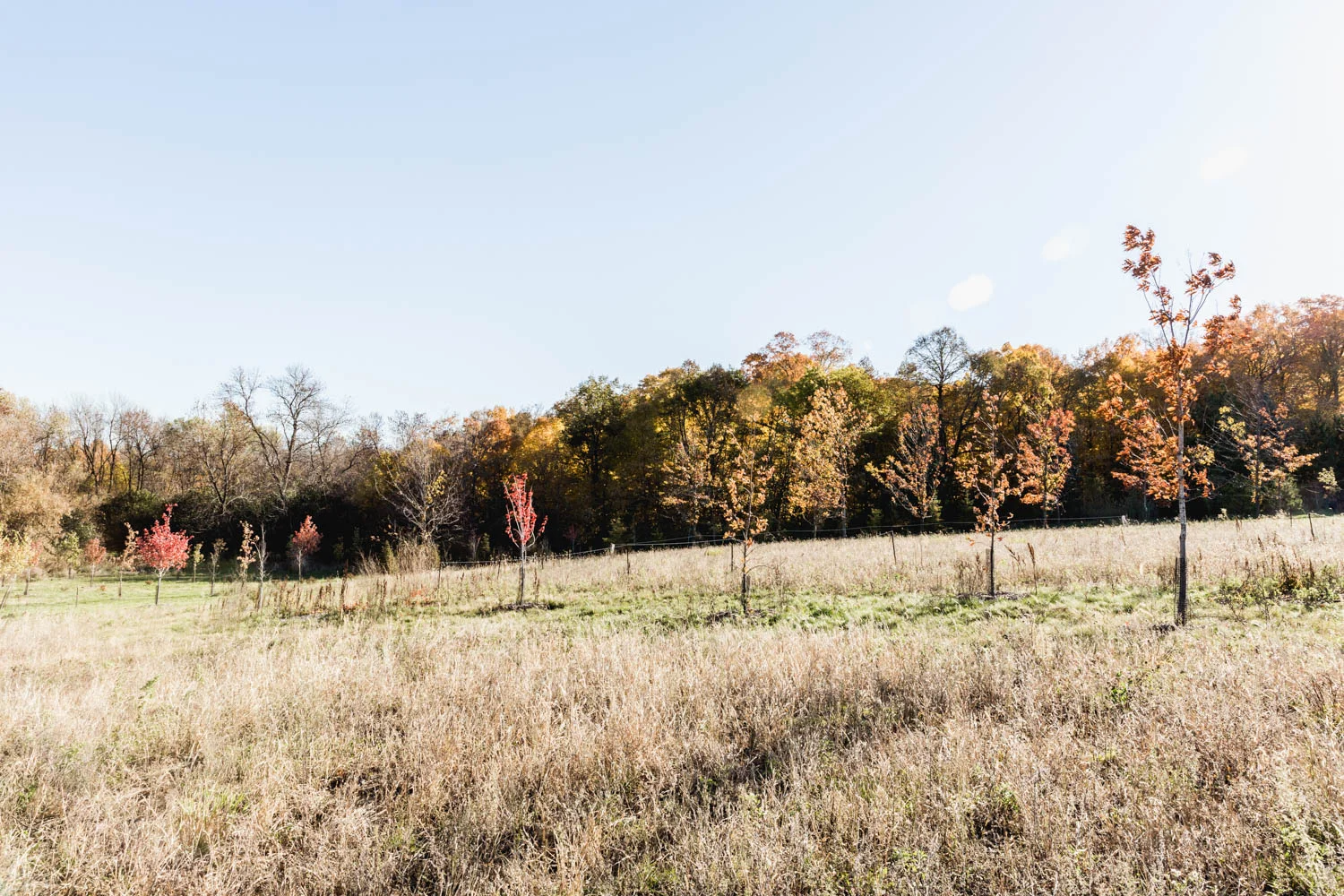 Lot 106 — View East