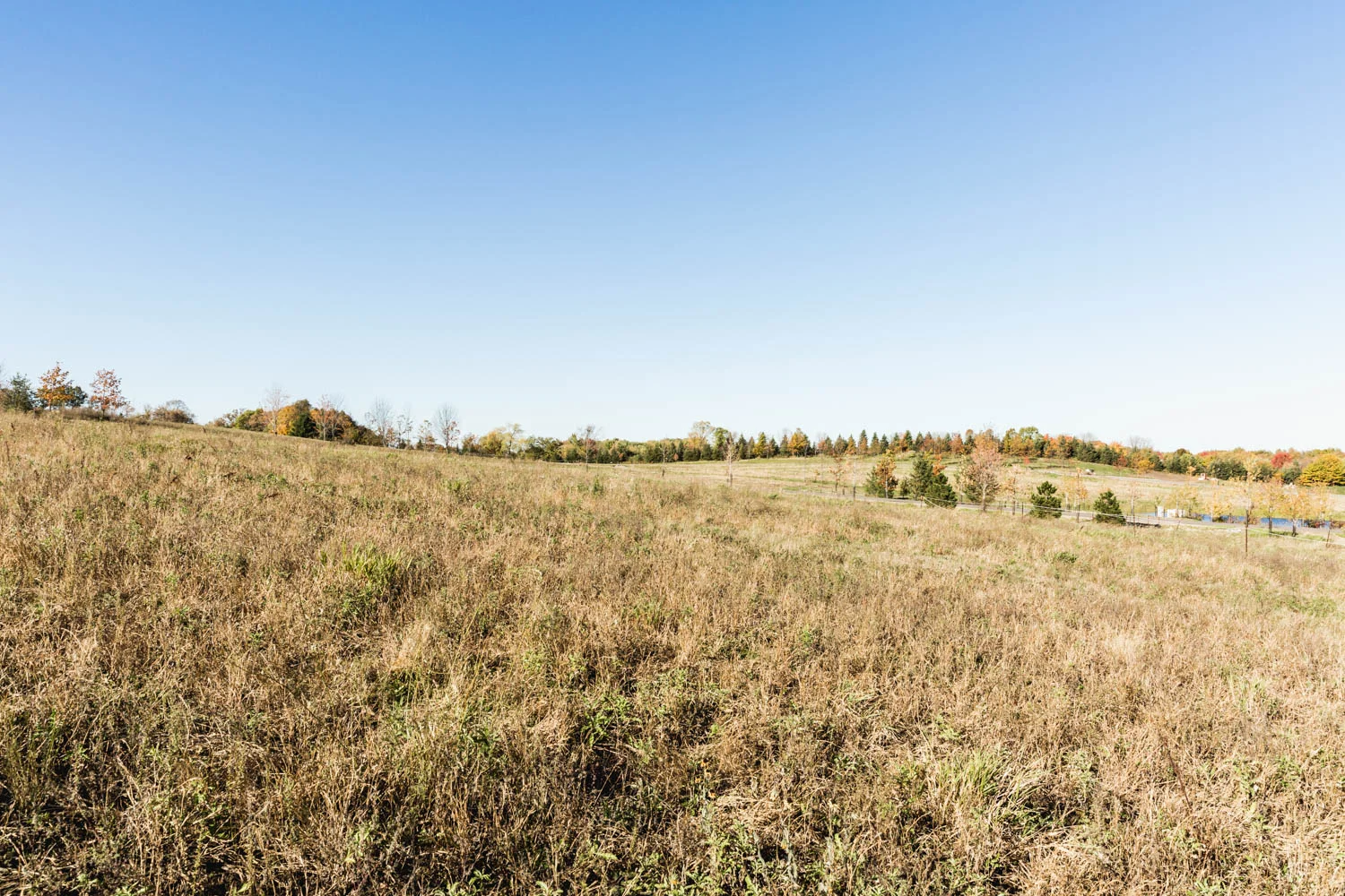 Lot 106 — View West