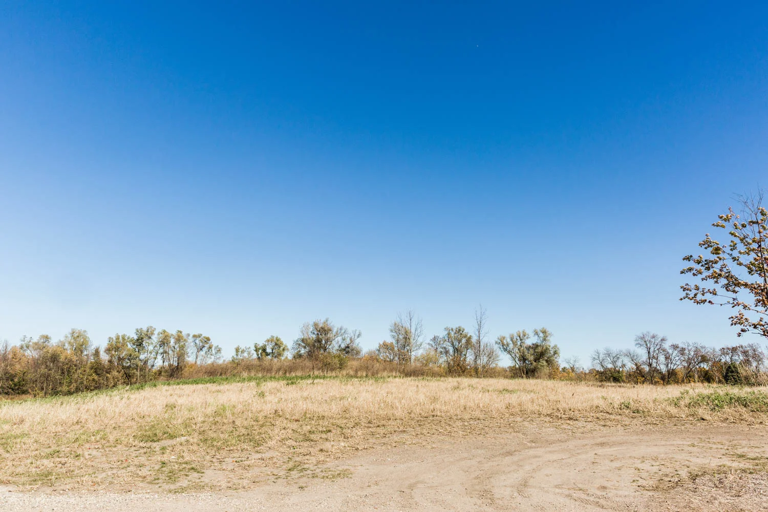 Lot 109 — View from street