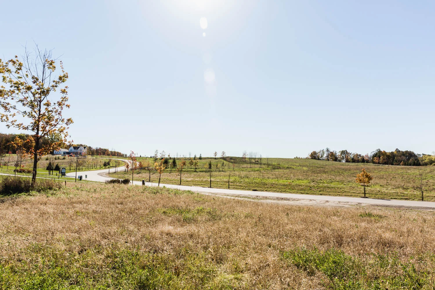 Lot 109 — View South