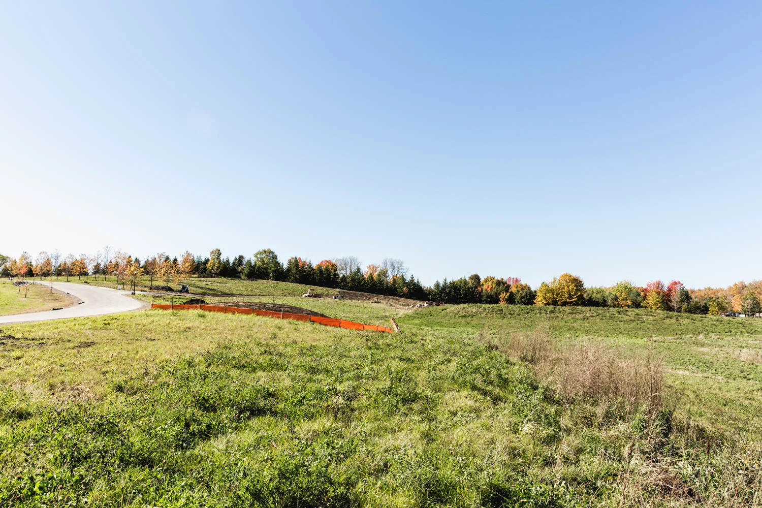 Lot 110 — View West