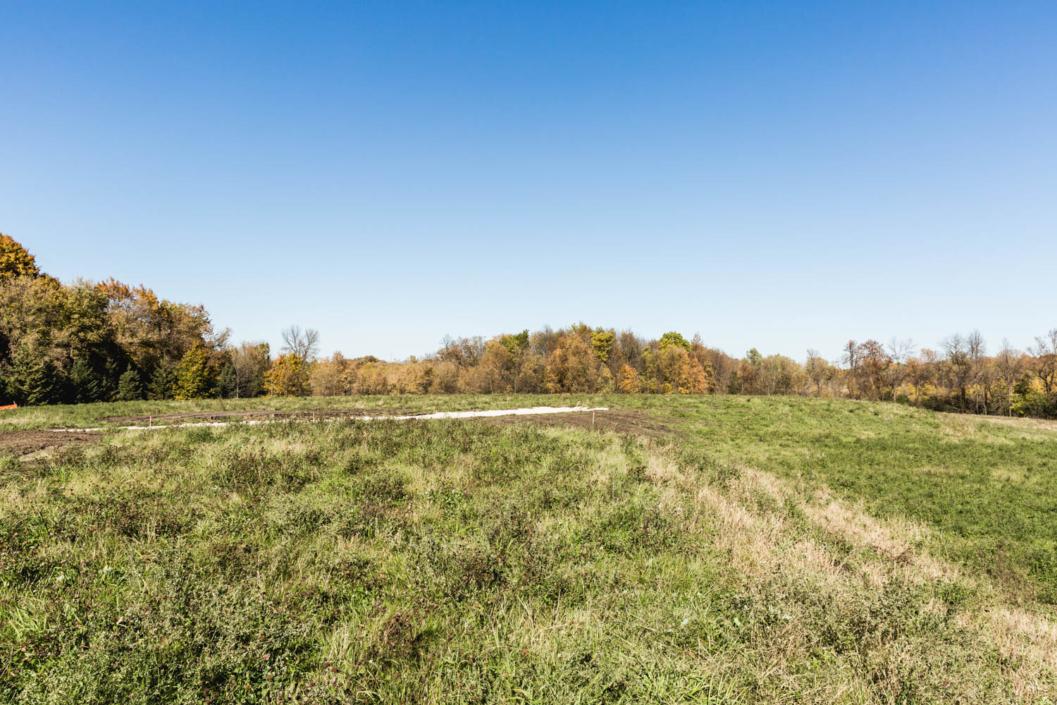 Lot 111 — View North