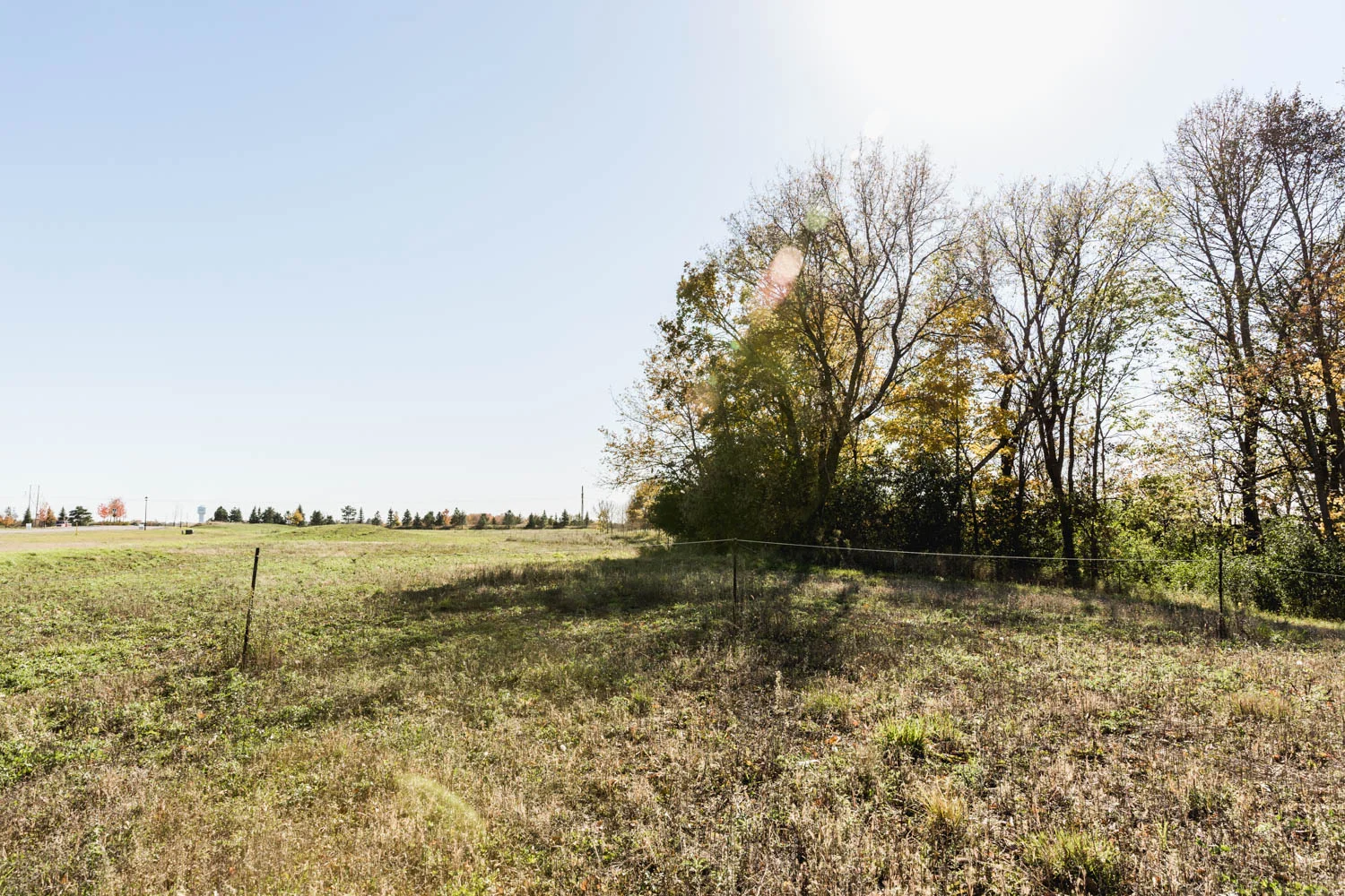 Lot 116 — View South