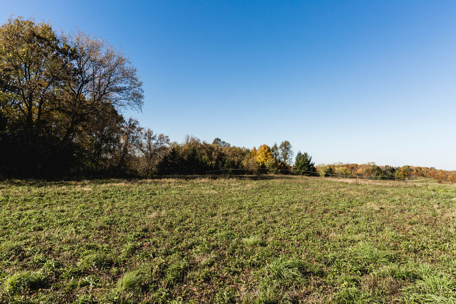 Lot 117 — View North