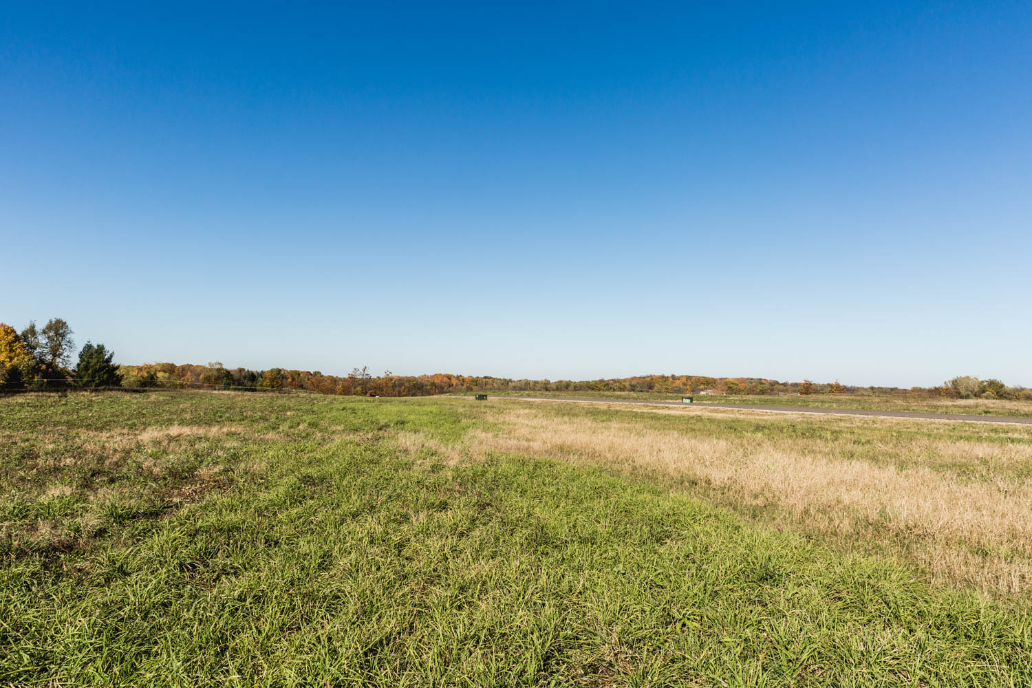 Lot 118 — View North