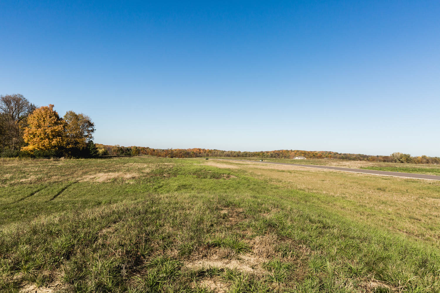 Lot 119 — View North