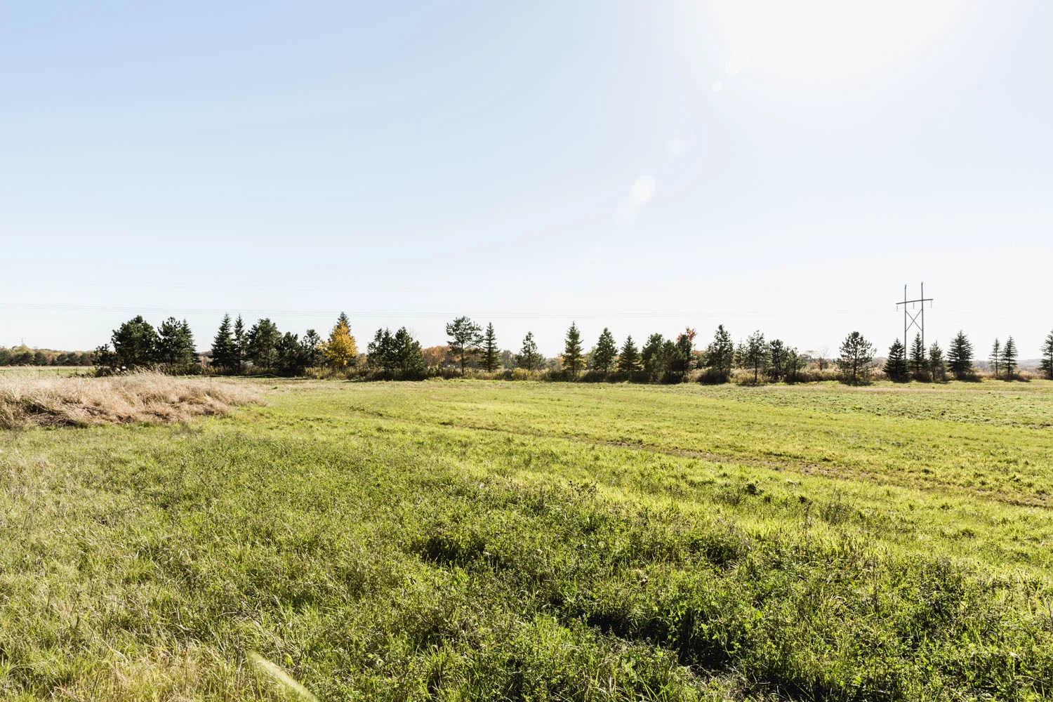 Lot 120 — View South