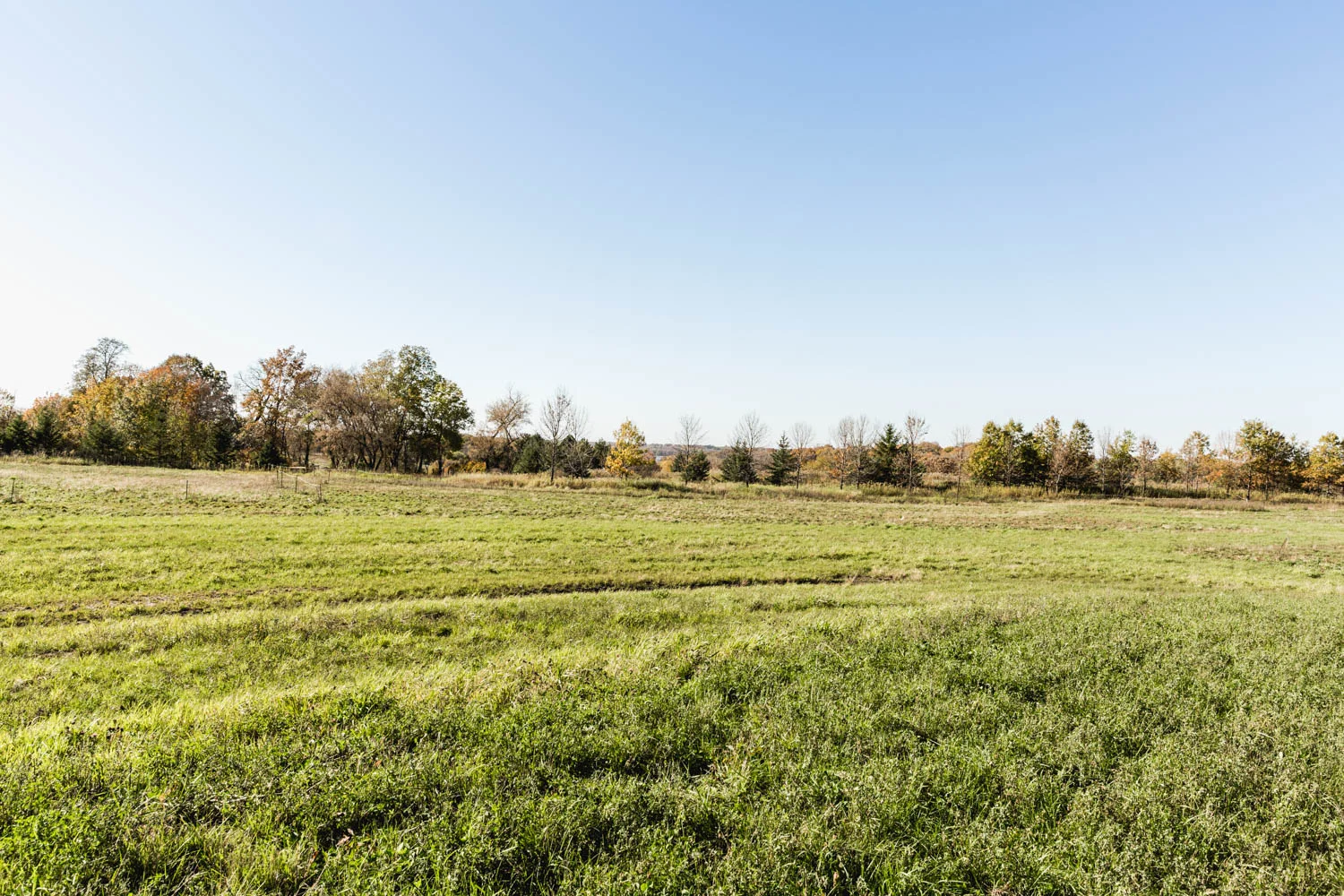 Lot 120 — View West