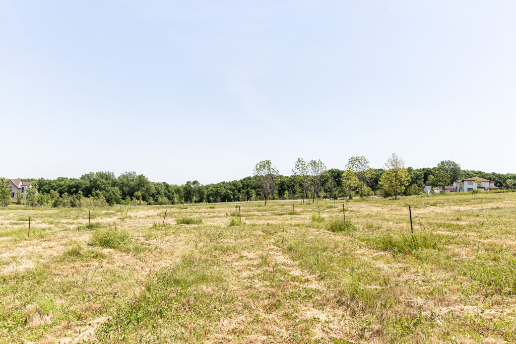 Lot 121 — View East