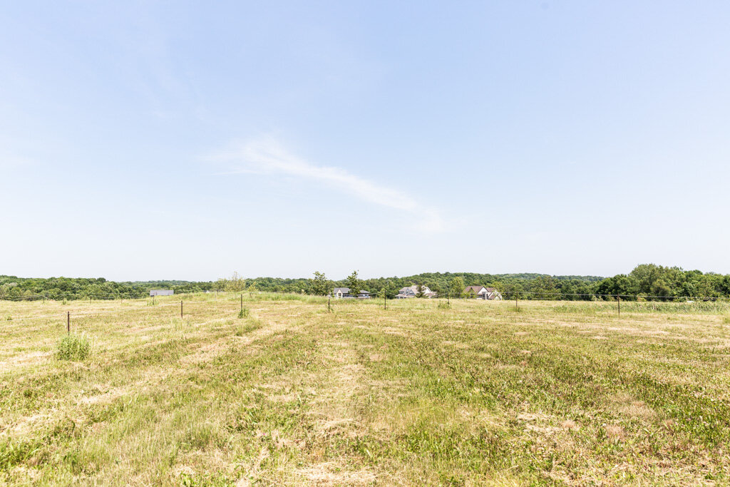 Lot 124 — View North