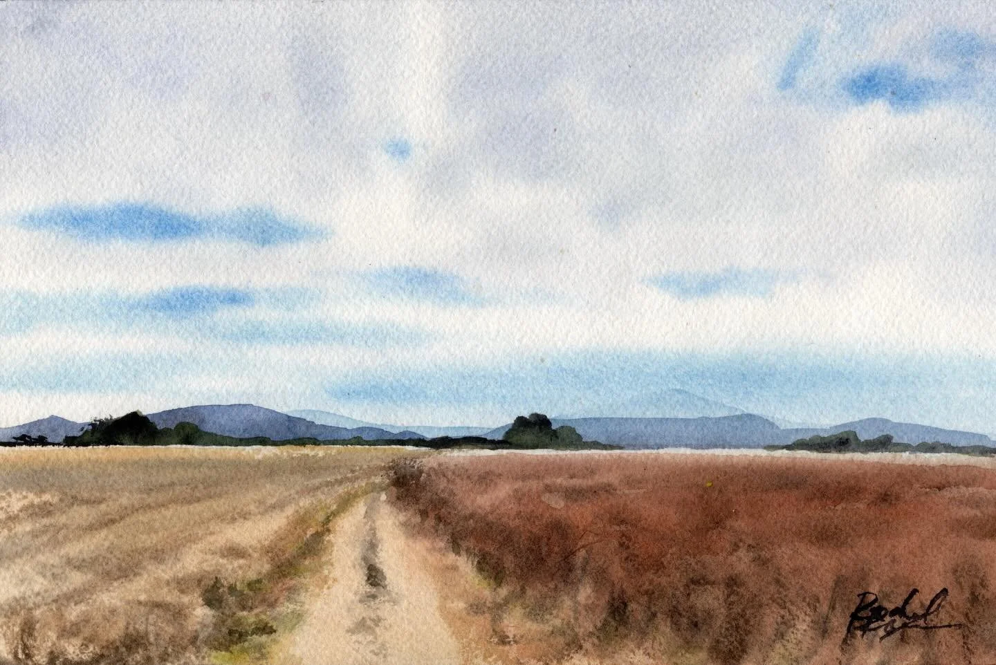 Valensole, 6 x 9

When in doubt, paint what you know. I&rsquo;ve painted versions of this scene dozens of times at this point.