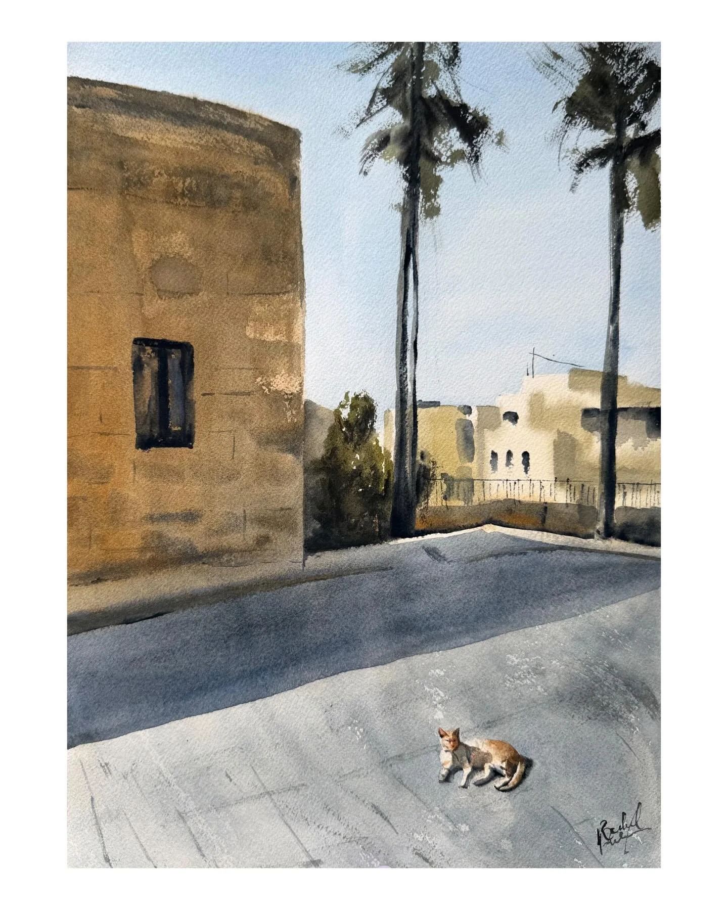 Gozitan, 11 x 15 in 🇲🇹 

A little cat I noticed in the sun last summer on Gozo.