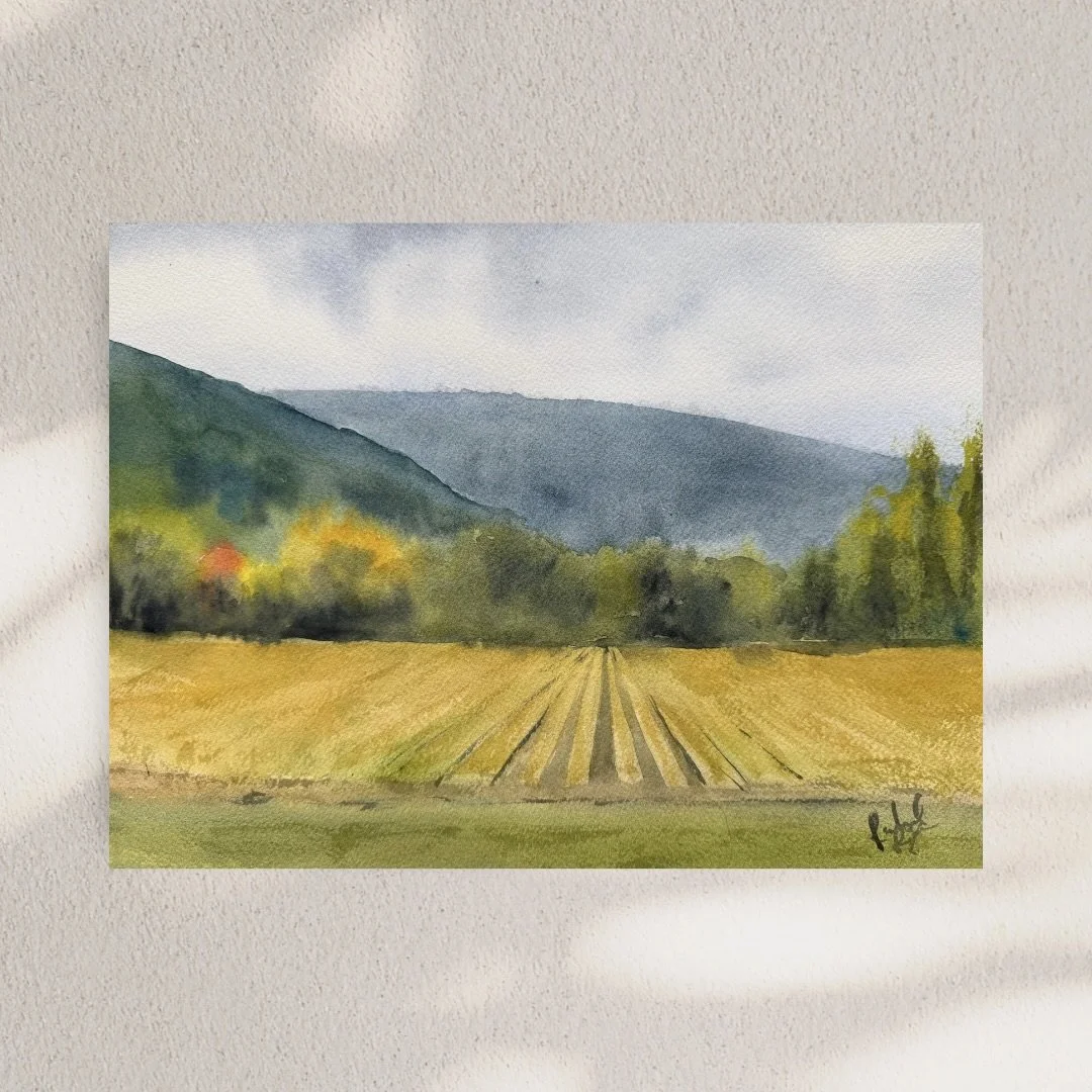 Champs dorés (Golden fields)