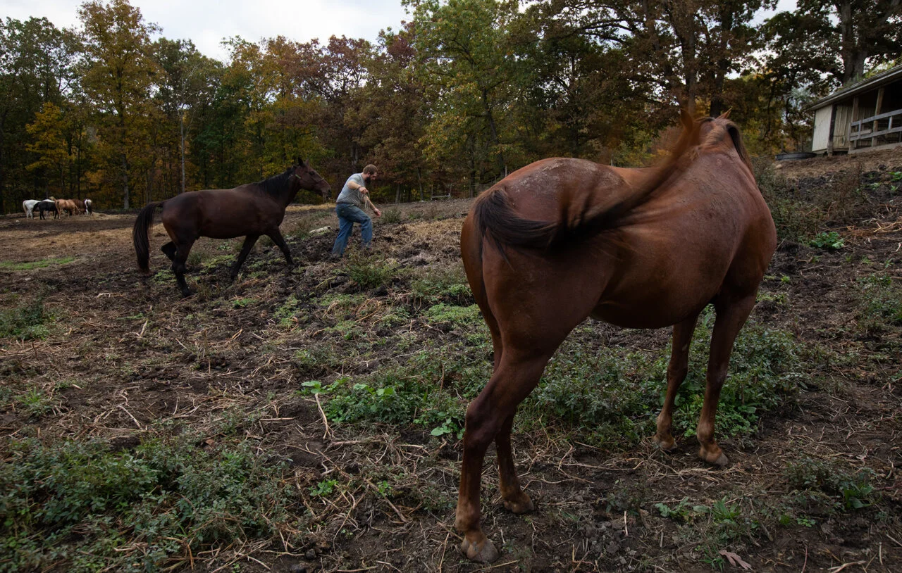  Charlie Musselman leads horses back into the stable to be fed and tied up at the end of the day at Smoke Rise Ranch on Monday, Oct. 12, 2020. Musselman's grandfather passed on his love of horses to Musselman before passing away when he was 15. "He's
