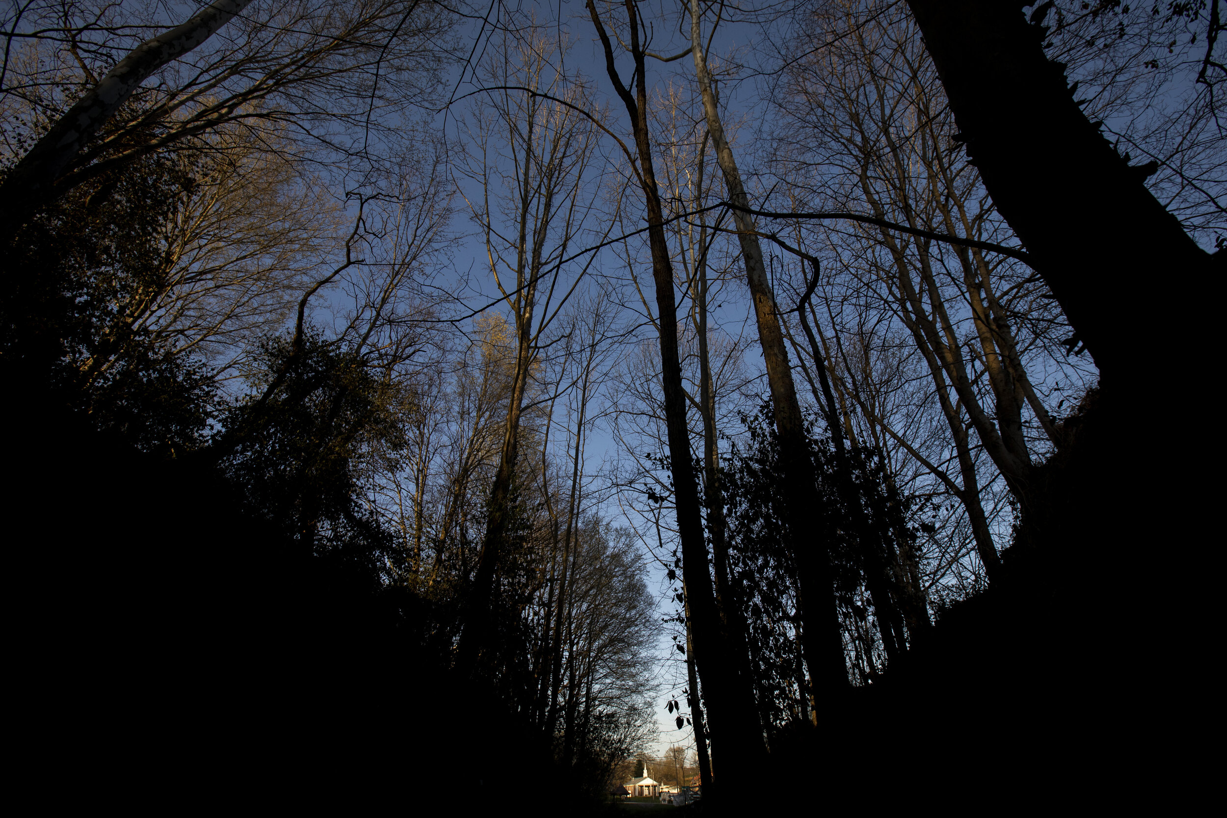  A church at the center of New Marshfield can be seen through a gap in the trees where train tracks used to pass through town on Saturday, April 3, 2021.  New Marshfield, Ohio, is a small town of around 300 residents nestled among the foothills of th
