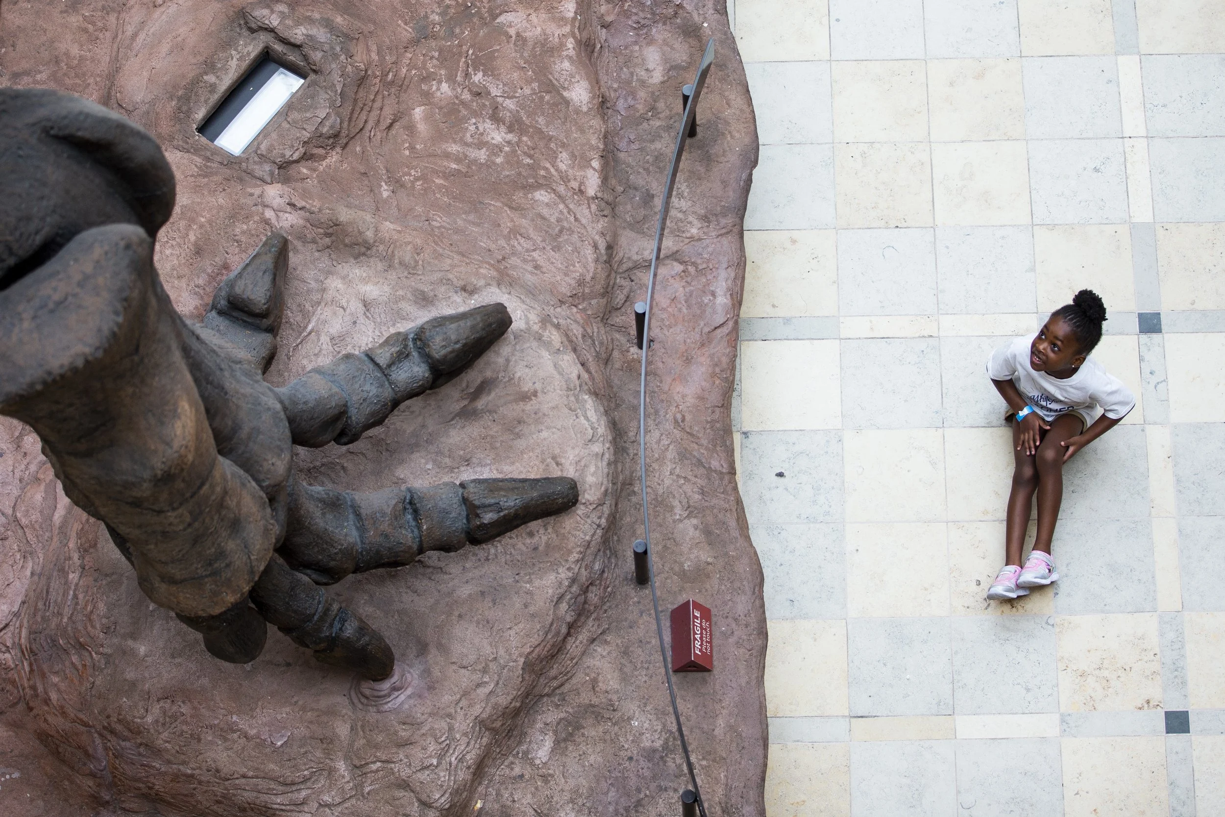  A camper from Camp Whitefield looks up at a cast replica of an Argentinosaurus skeleton in the atrium of Fernbank Museum on Thursday, July 14, 2022, in Atlanta. The Argentinosaurus roamed Earth around 90 million years ago, was up to 130 feet long, w