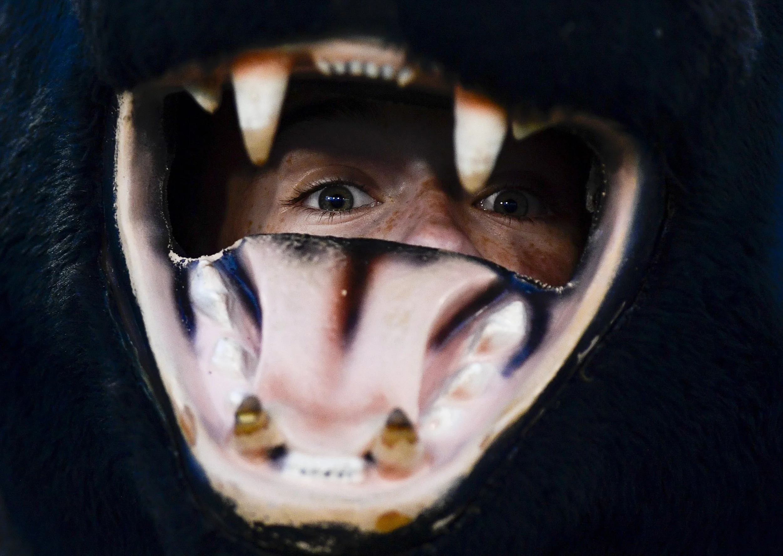  Cheyenne McCormick, a 15-year-old Riverside sophomore, poses for a portrait while looking out of her panther mascot head on the sidelines during the BlueCross Bowl Class 2A Championship game at Finley Stadium, in Chattanooga, Tenn., on Saturday, Dec