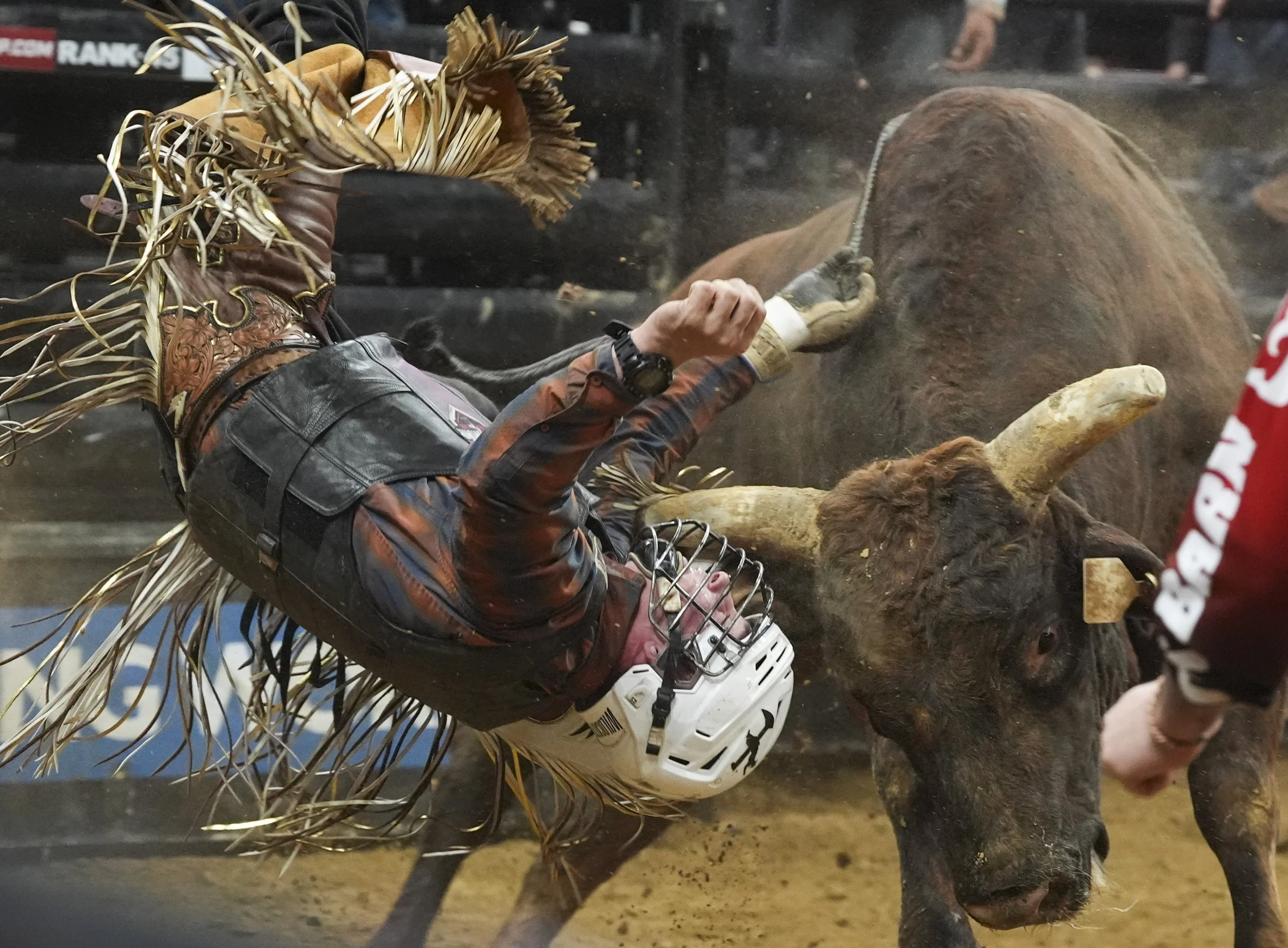 Rider Dustin Herman is thrown from a bull during the PBR Pendleton Whisky Velocity Tour’s PBR Memphis event at FedExForum on Saturday, February 15, 2025.