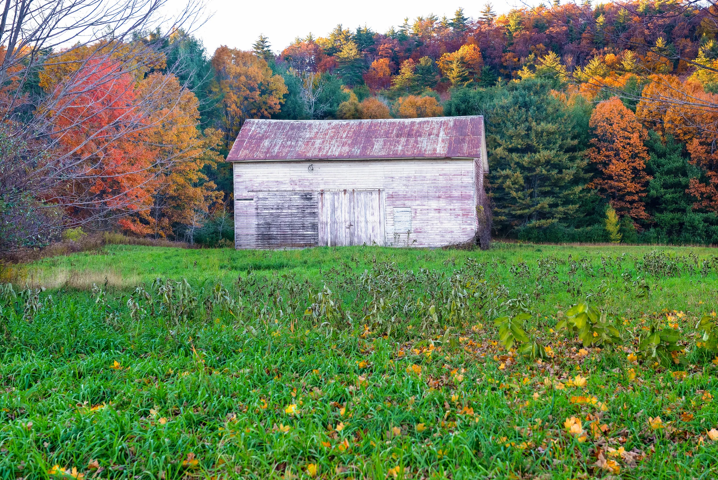 Barn in Fall