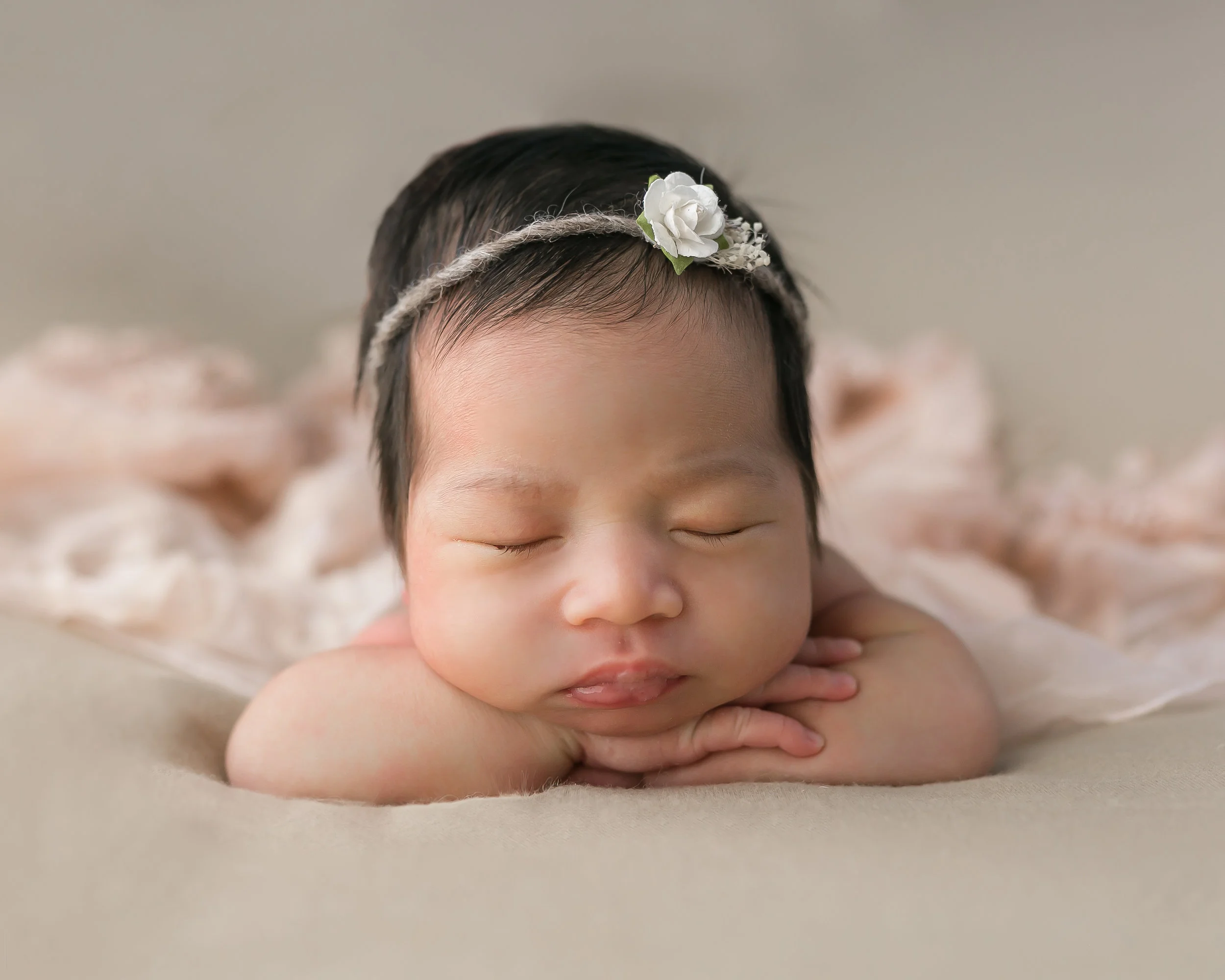 ANN_0219.jpg