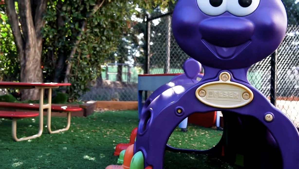 purpleplay.jpg