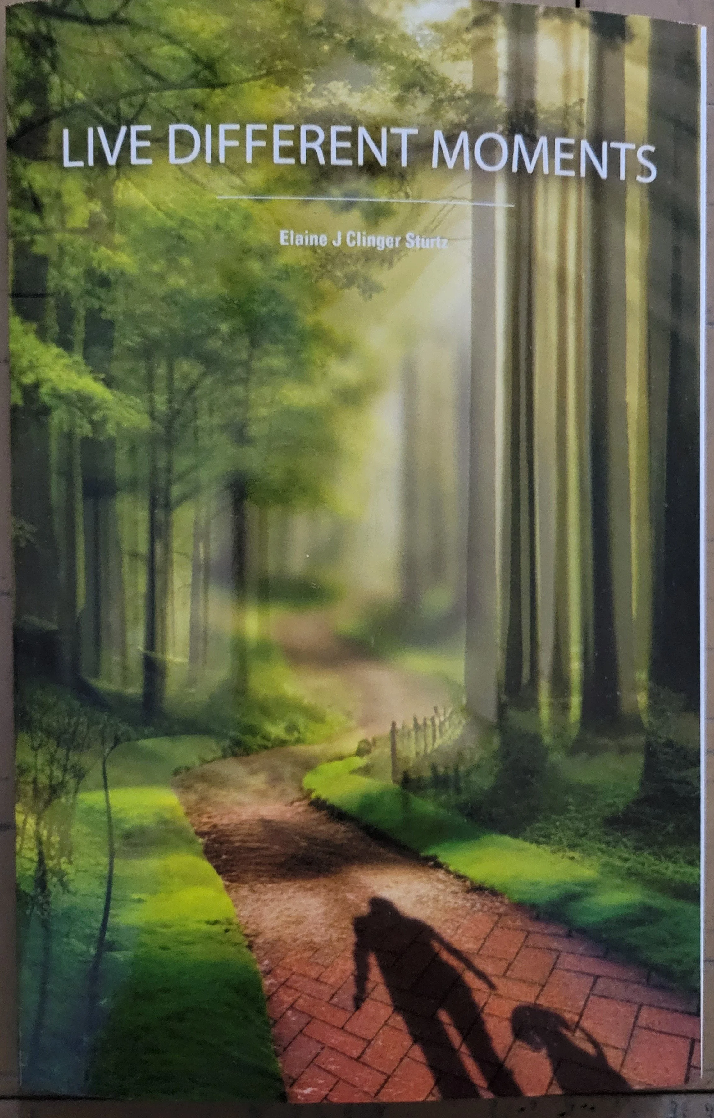 Book Cover photo.jpg