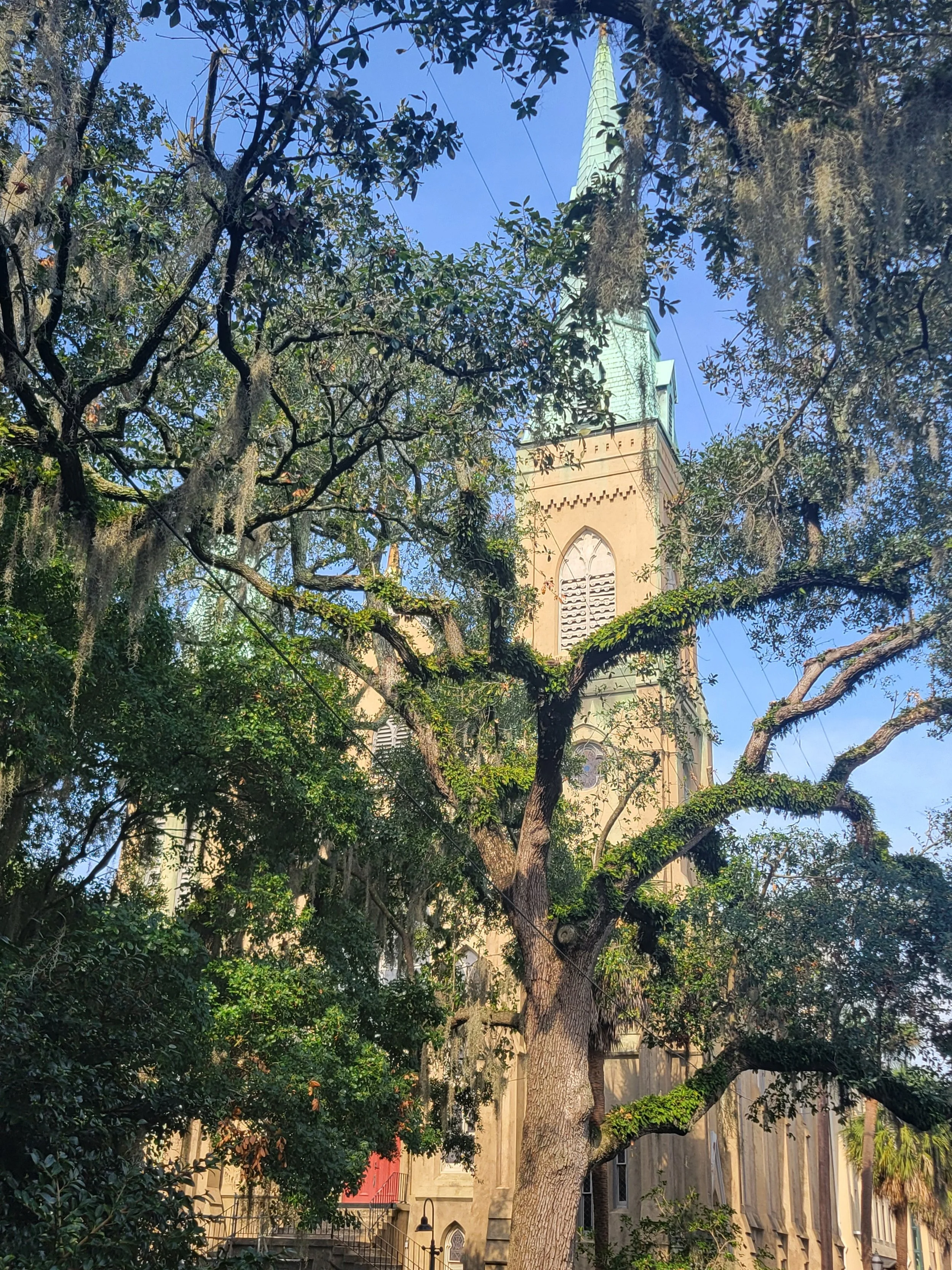 church trees savannah.jpg