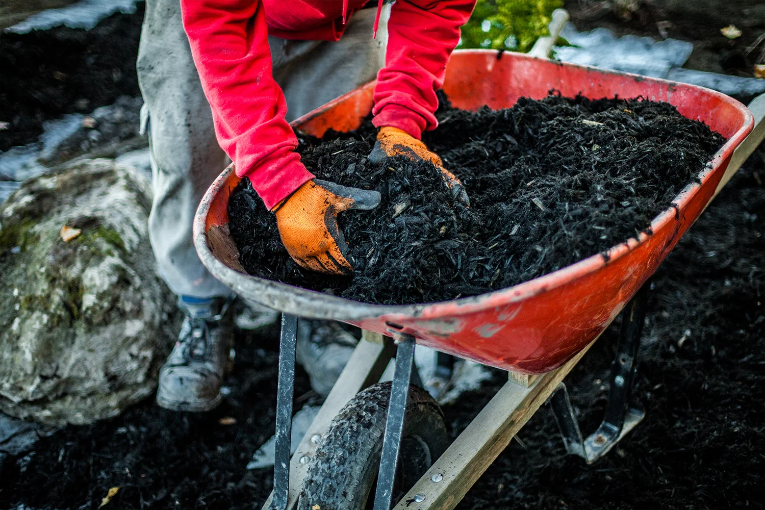 mulching a property, the landscape specialist offering professional landscaping and personal gardening in MA