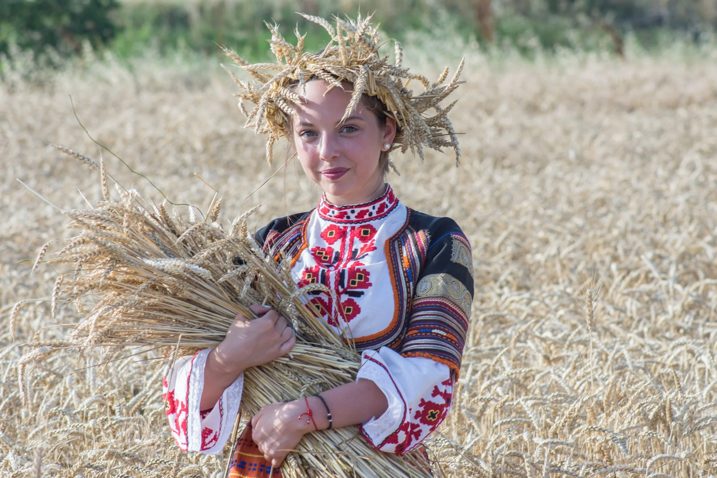harvest-2460135.jpg