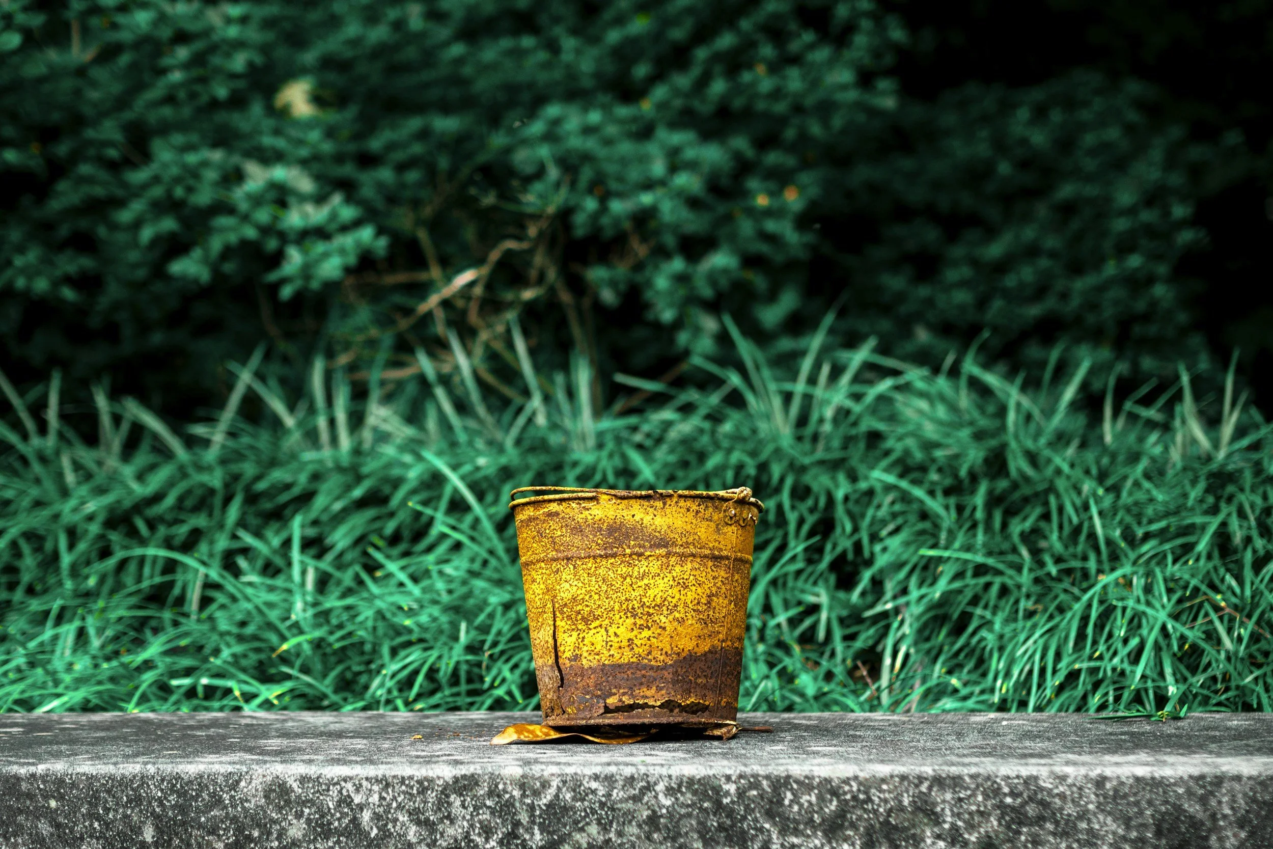 An old, rusty yellow tin can sitting on a concrete surface with a single dried leaf nearby, against a background of tall green grass and dark foliage.