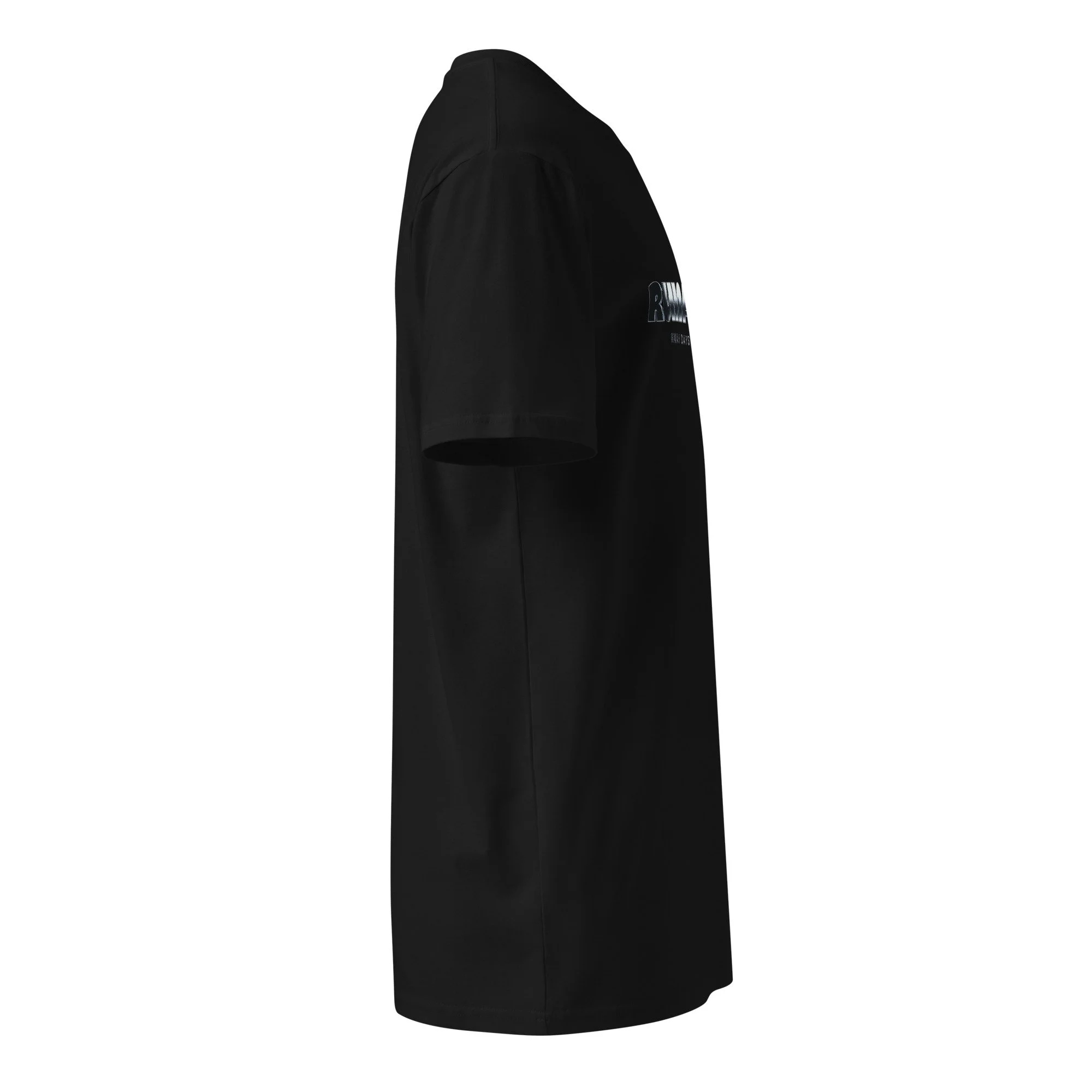 unisex-premium-t-shirt-black-right-6929fae266b48.jpg
