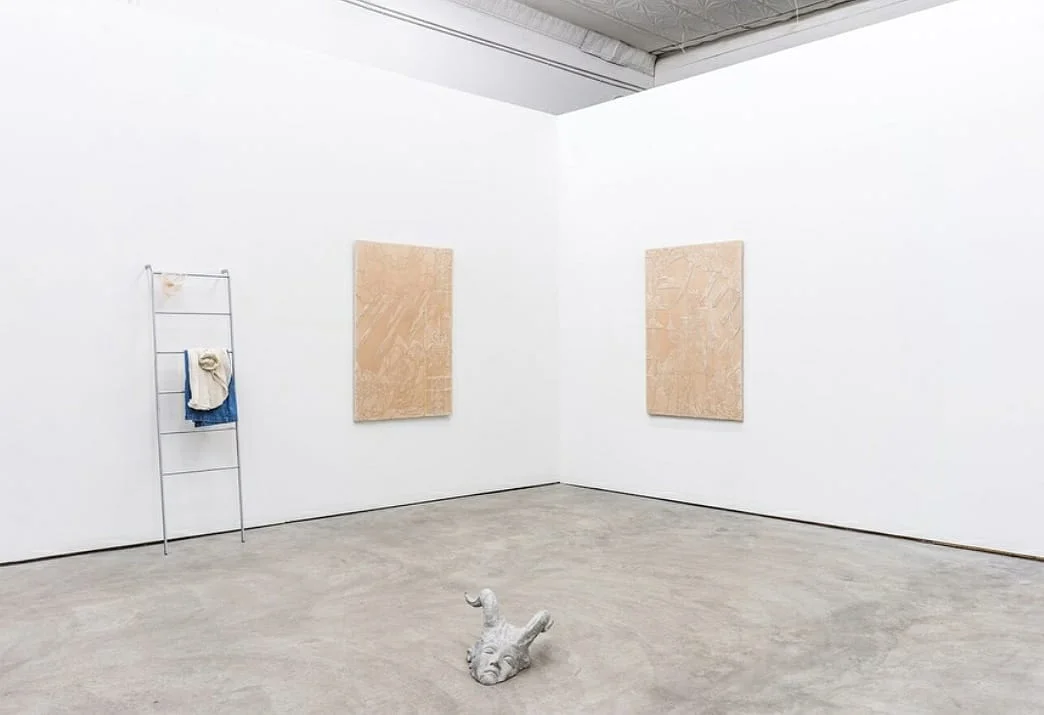 Animal Fancy - Cole Lu