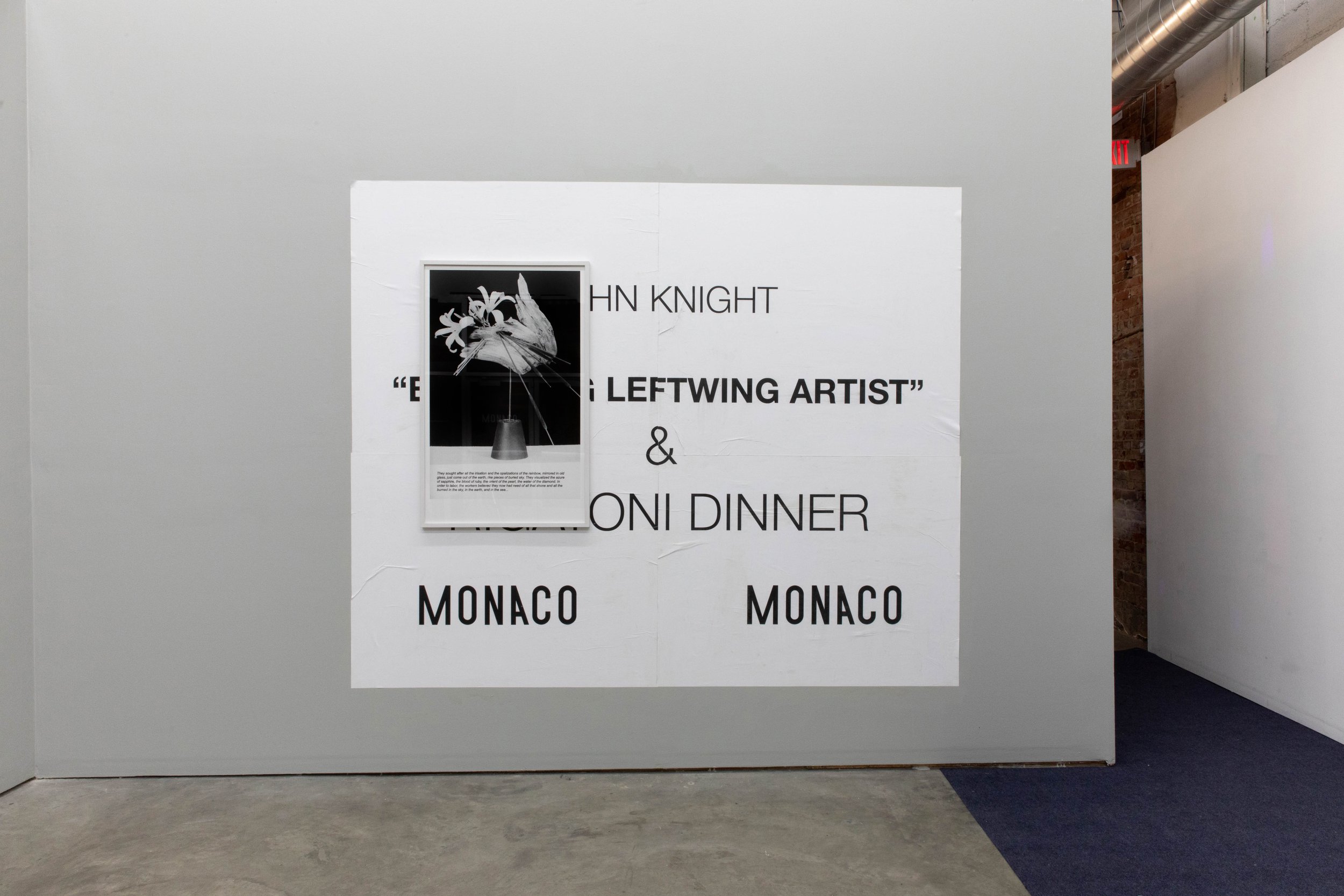 emerging-leftwing-artist-monacojohnknight-5732.JPG