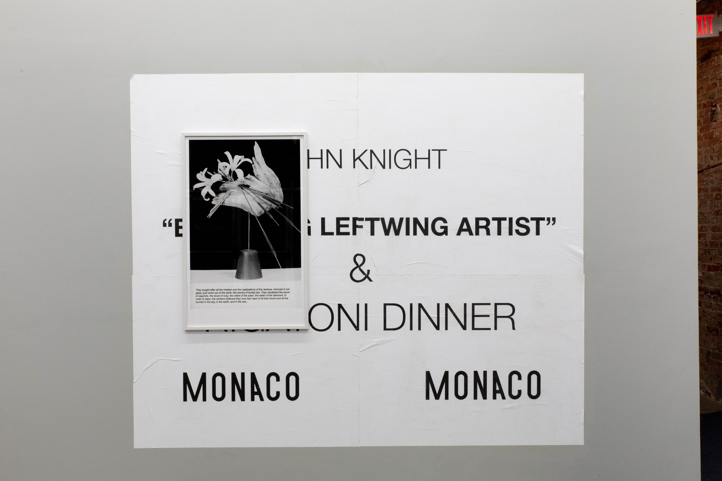 emerging-leftwing-artist-monacojohnknight-5748.JPG