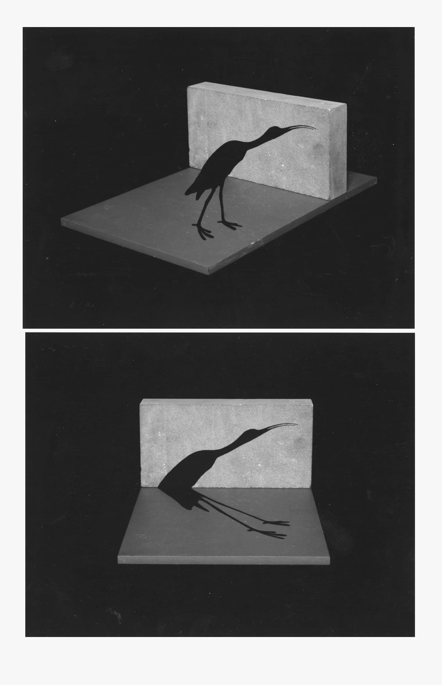 IBIS#1~&2.jpg