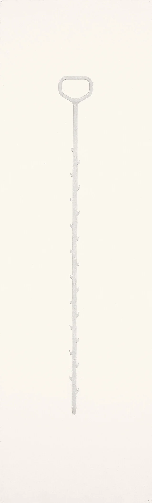 snake , 28 1/8” x 8 1/2”, graphite on fabriano paper. $1000.