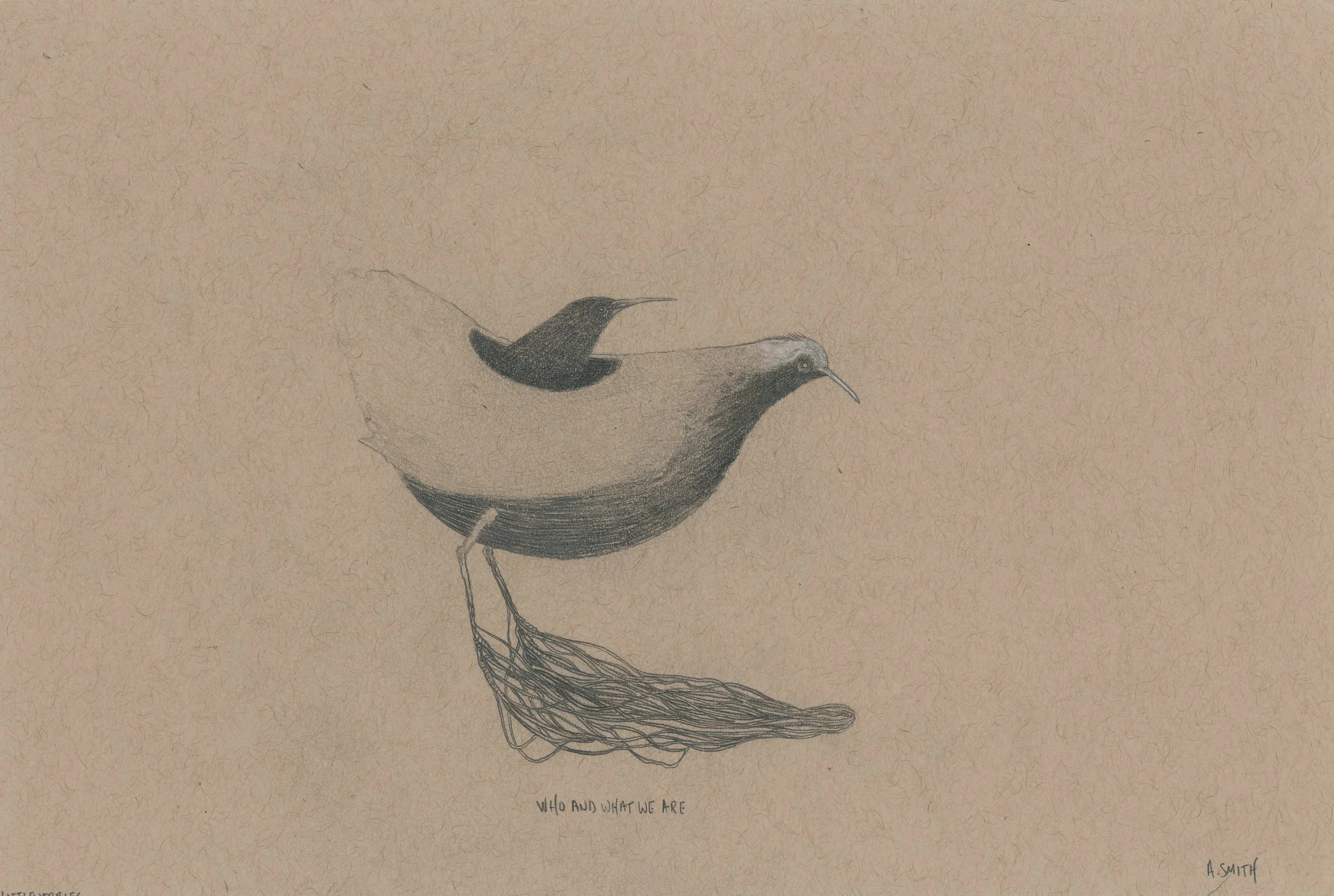 Who And What We Are - 6” x 9”, graphite on paper. $300.
