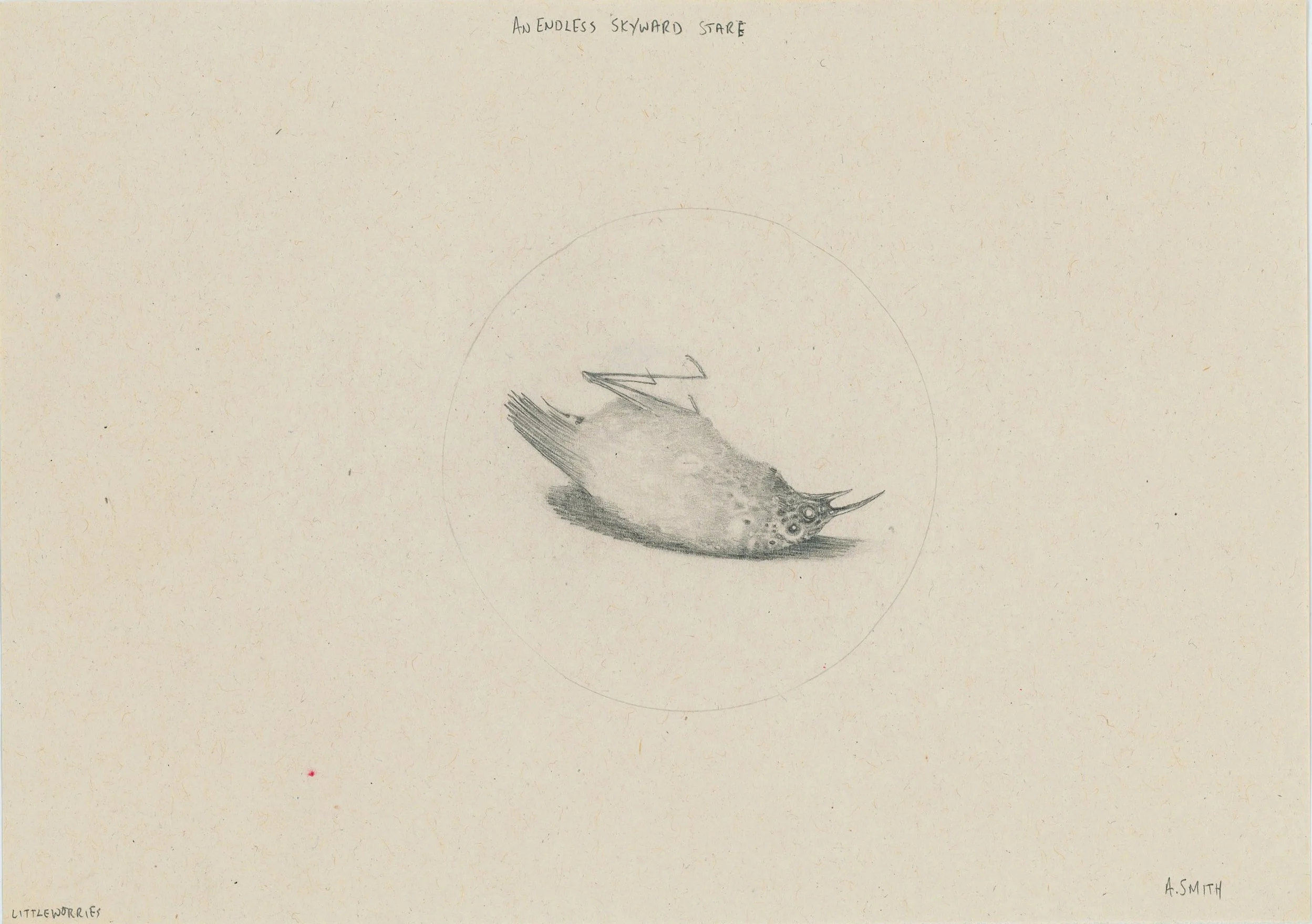 An Endless Skyward Stare - 5 7/8” x 8 1/4”, graphite on paper. $300.