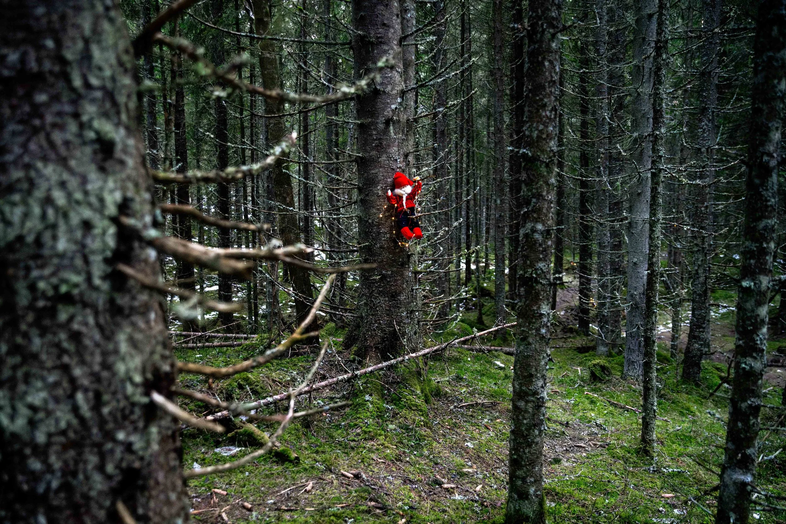 fotograf-Helene-Mariussen_23.jpg