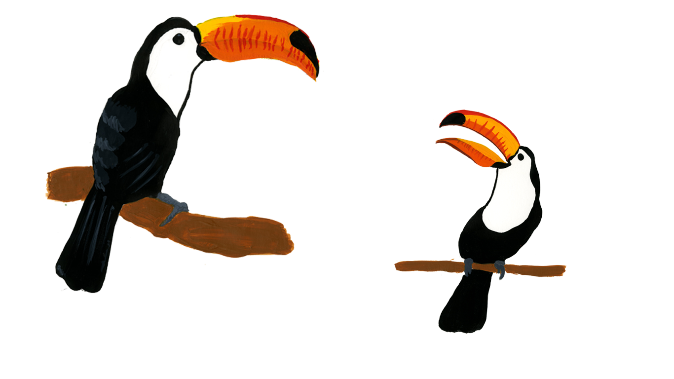Toucan_Website.png