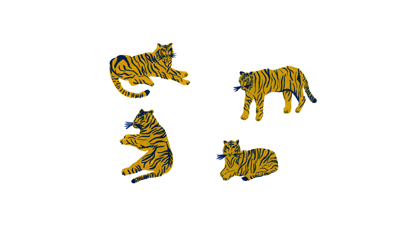 Tiger1_Website.jpg