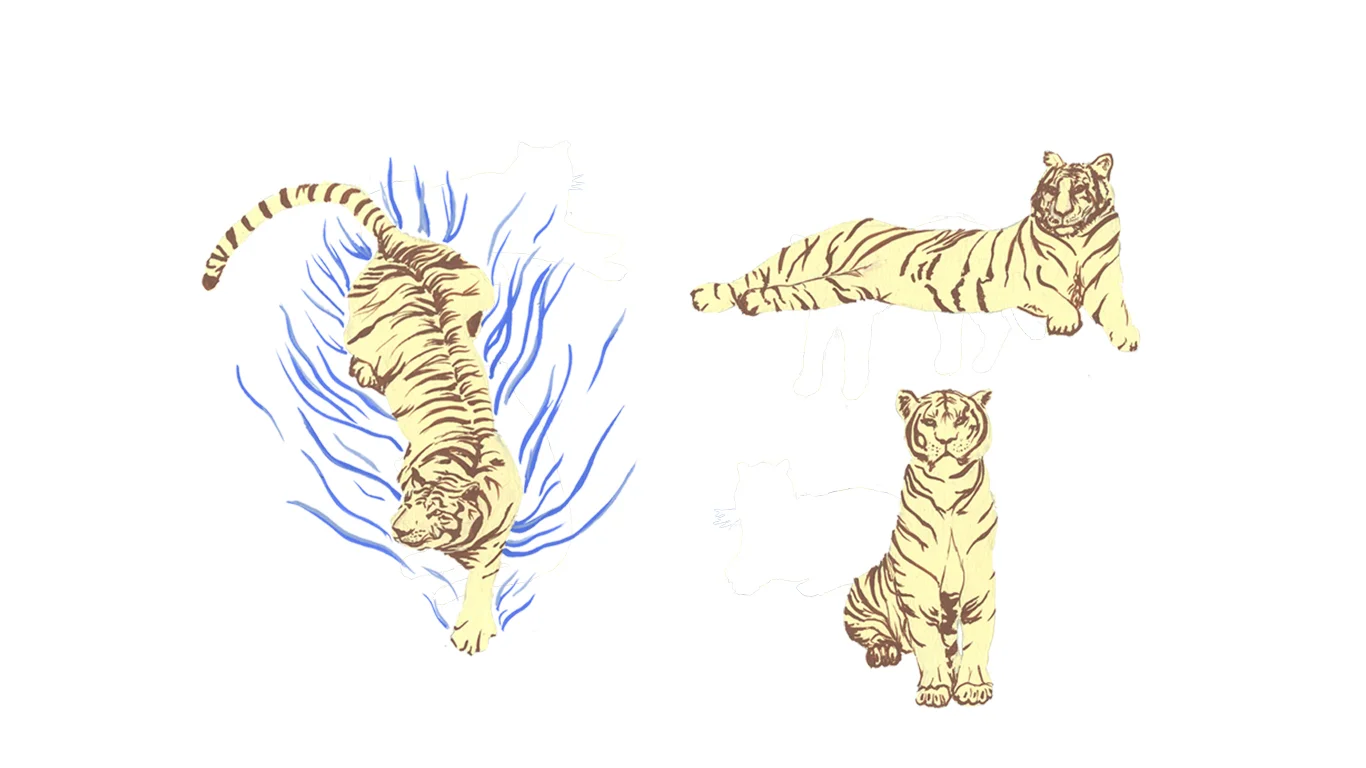 Tiger2_Website.jpg
