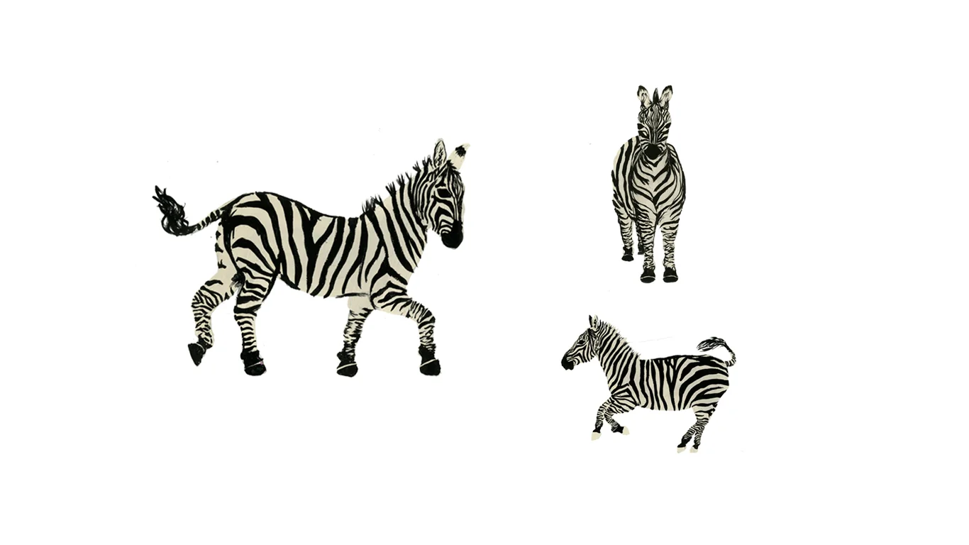 Zebra_Website.jpg