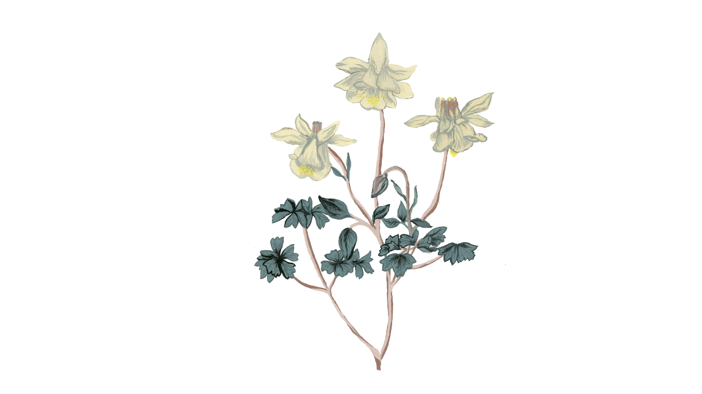 Artboard 5_1.png