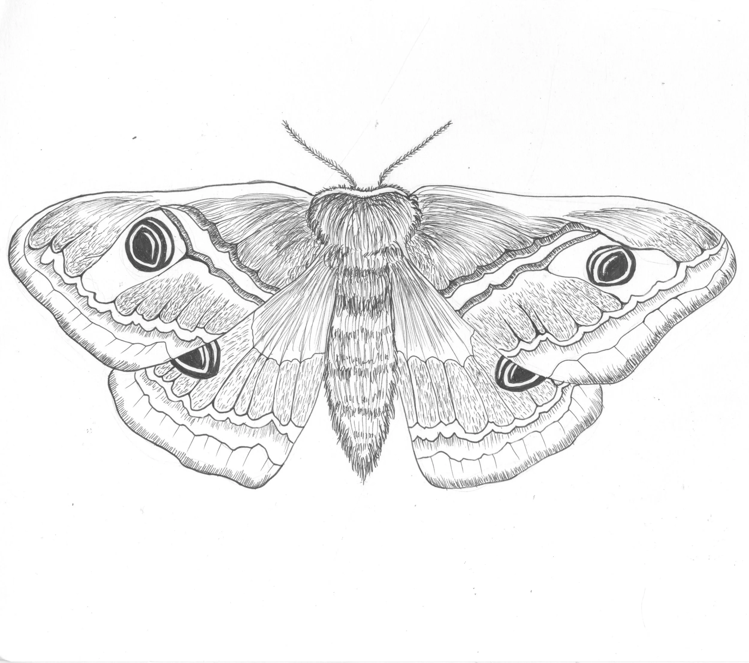 Scan+copy+4.jpg