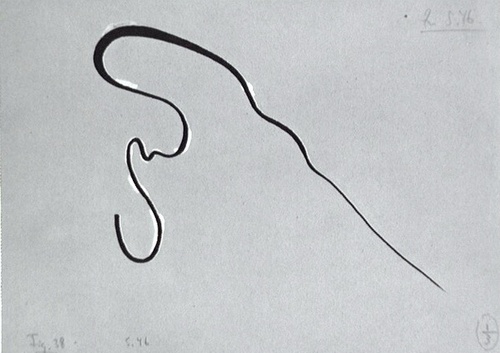48110.jpg