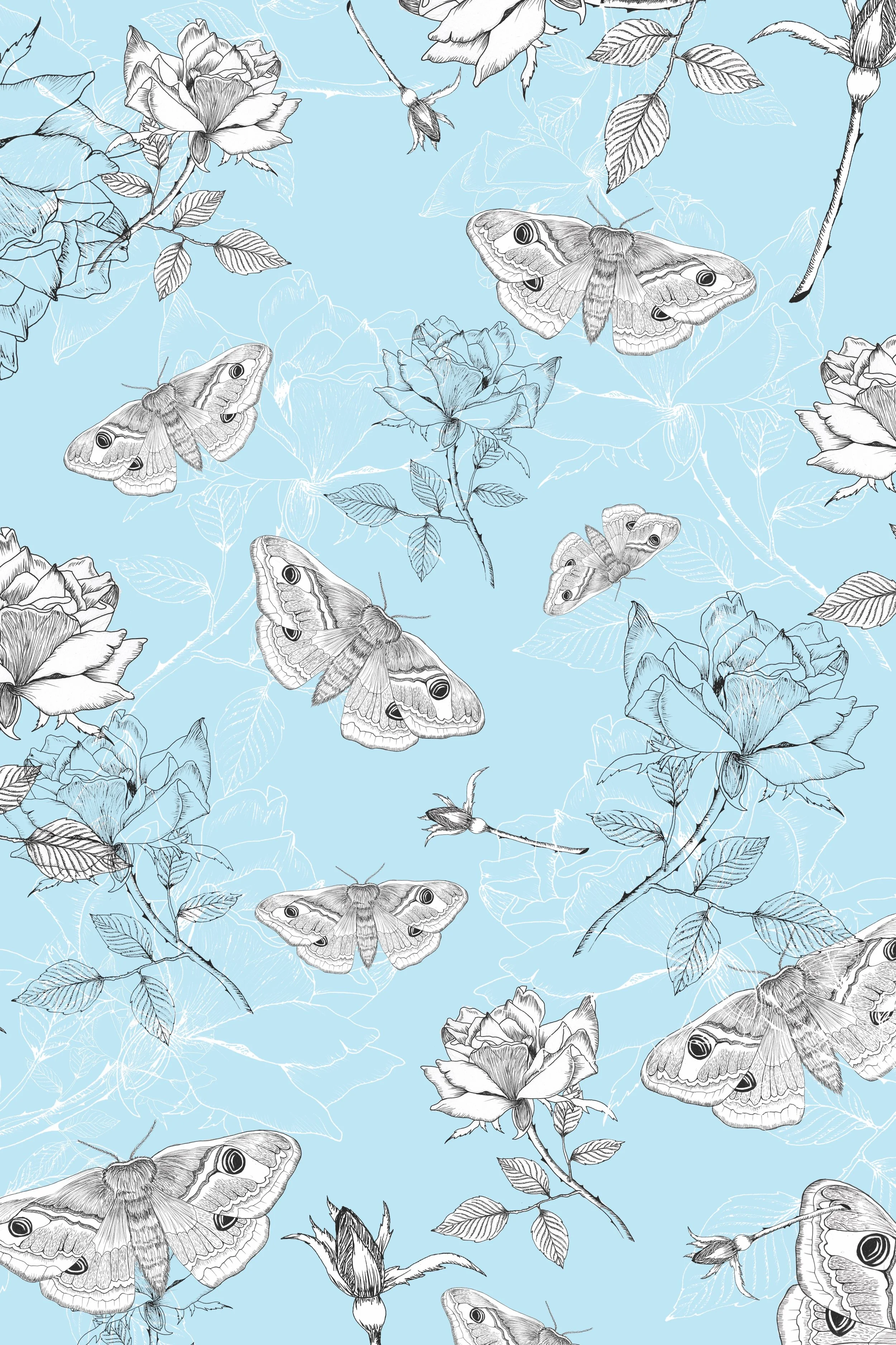 MothOnTheWall copy.jpg