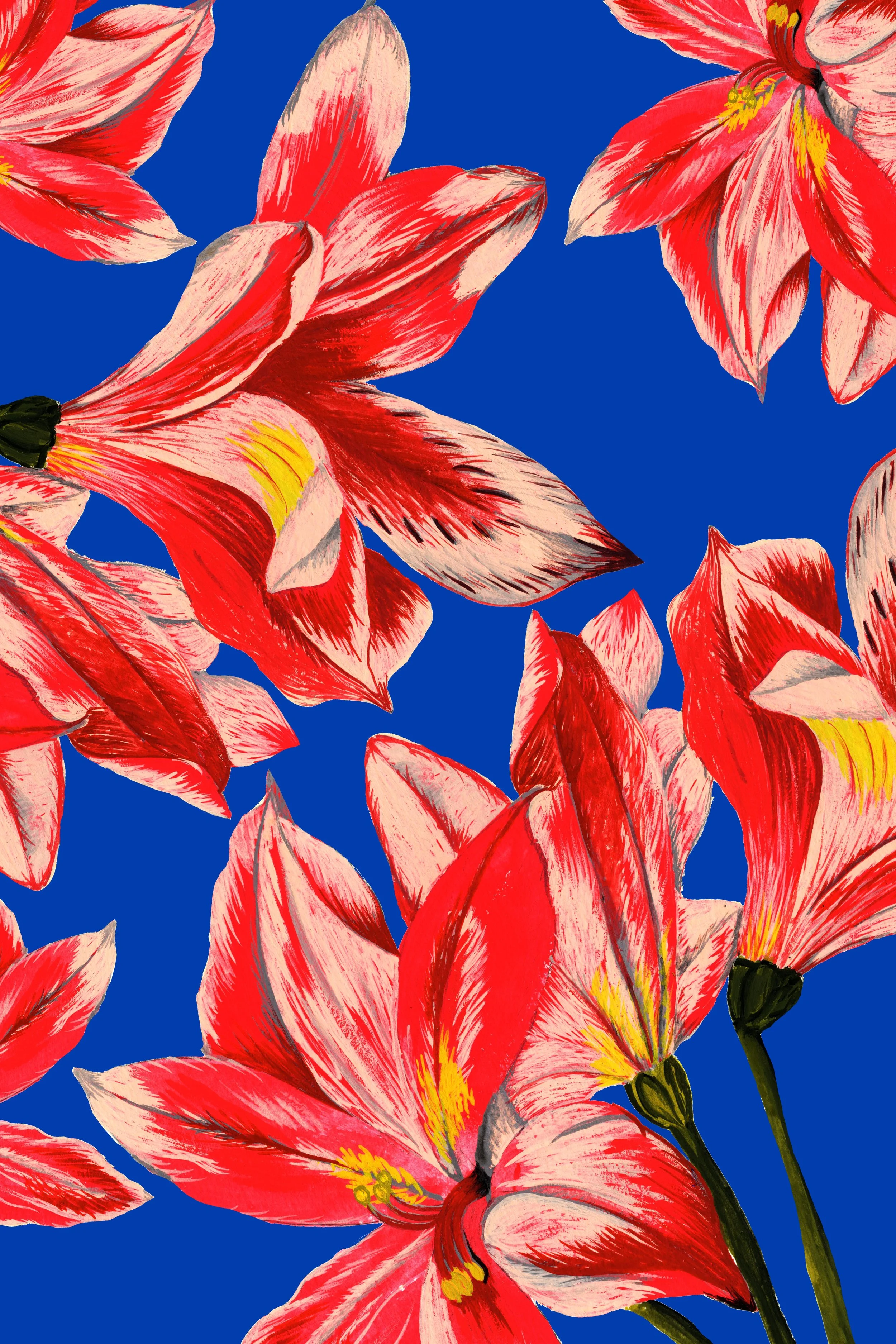 PRINT DESIGN