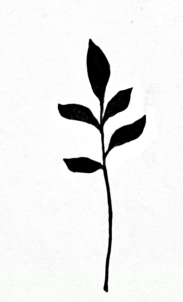 IMG_4365 3.png