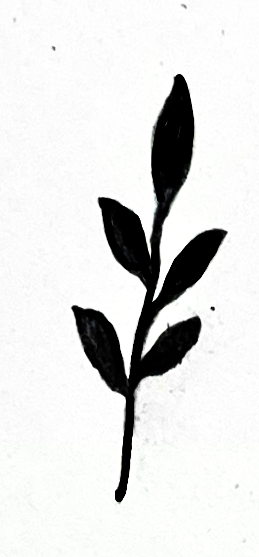IMG_4365 4.png
